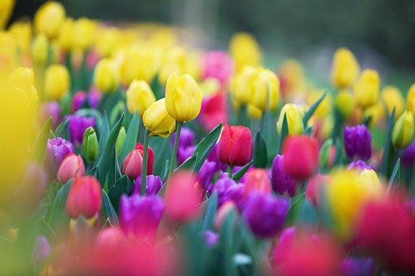 [0032+-+Dea+&+Cam.jpg]