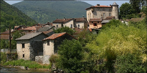 [Image8.jpg]