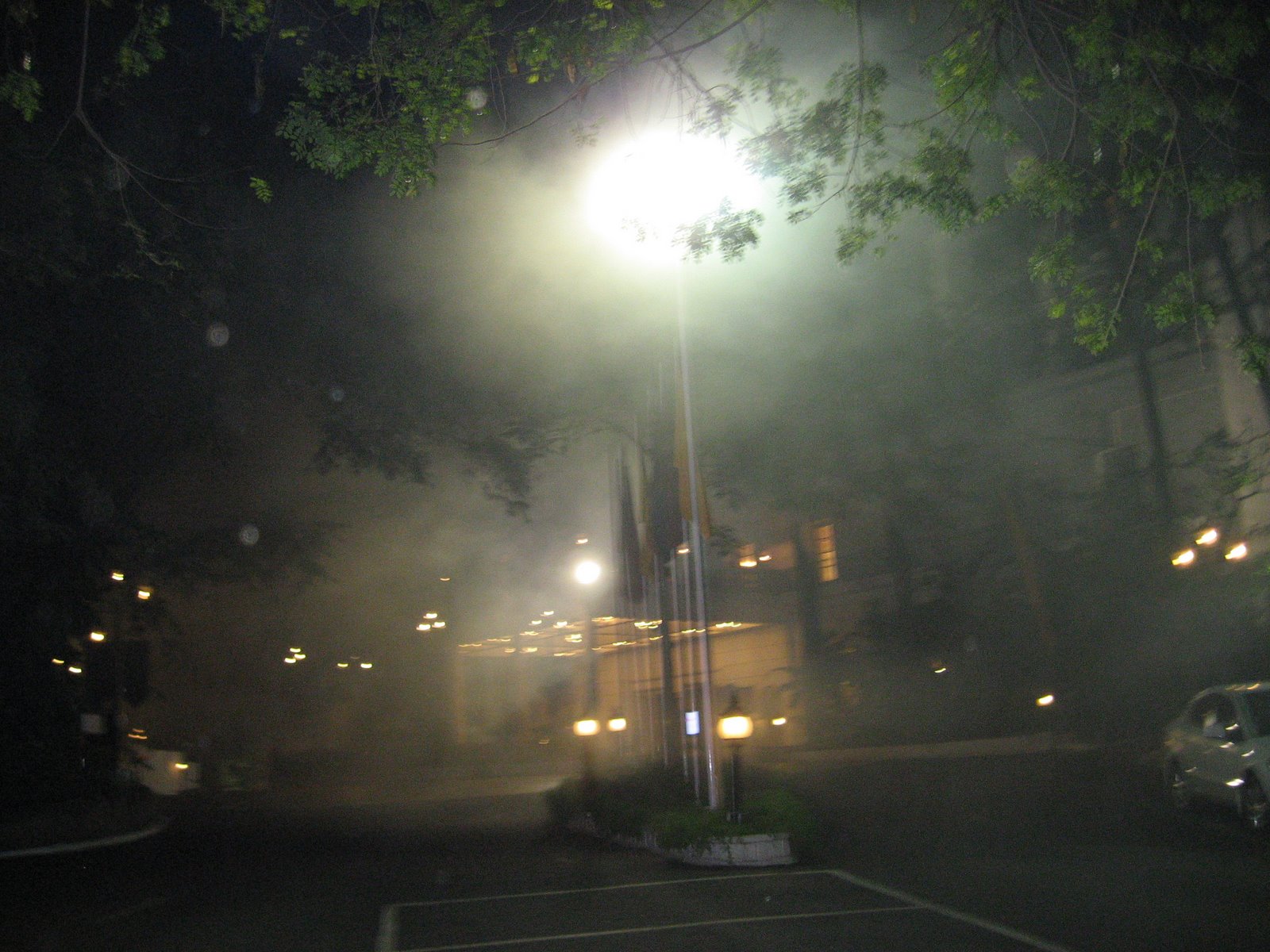 [IMG_2050.JPG]