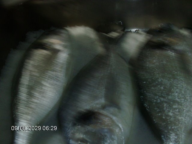 [comida+050.jpg]