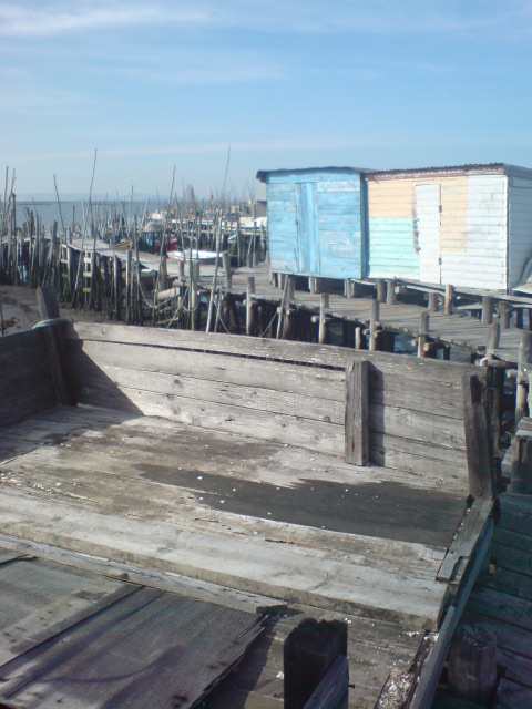 [DSC01719.JPG]
