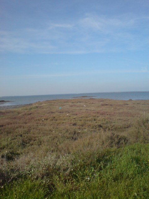 [DSC01723.JPG]