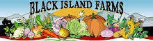 Black Island Farms