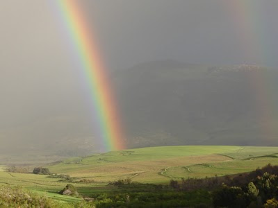 Sunshine Through Rain