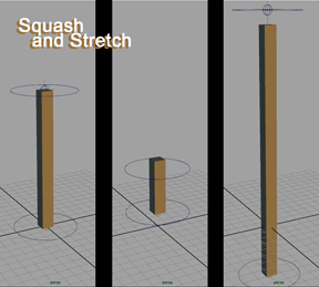 [squash_stretch.gif]