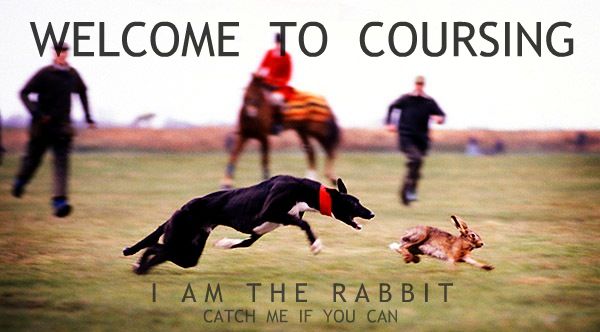 COURSING