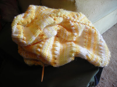 Egg Shawl