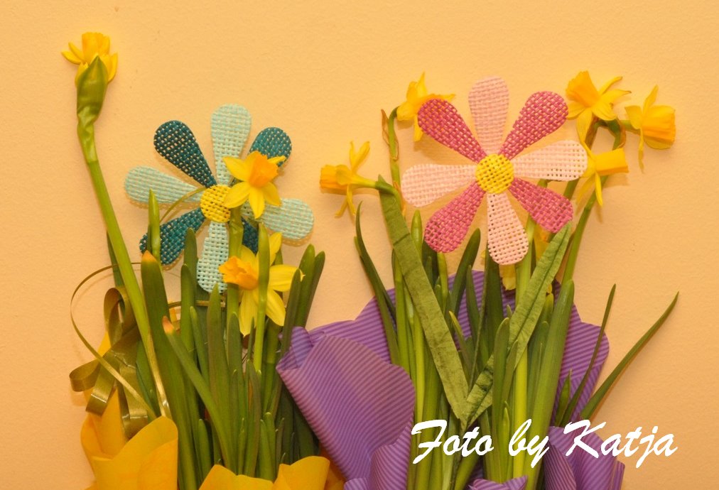 [floricele+text.bmp]