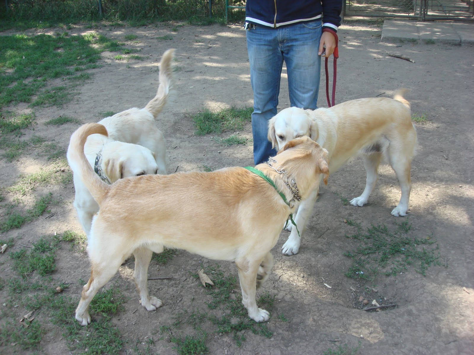 [DSC05680.JPG]