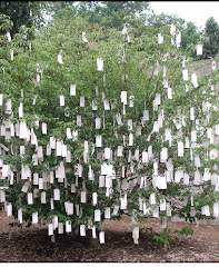 Yoko Ono's wishing tree