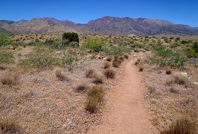 see boone go june Deer Creek Trail 648x440 see boone go june Deer Creek Trail 648x440