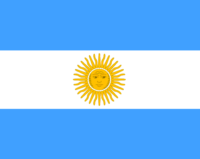 EL LOCO VERGARA: la bandera argentina