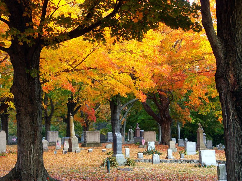 [102808_Fall-087_sm.jpg]