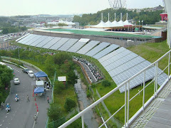 Implementación de Paneles Solares como parte de la Infraestructura de la ciudad