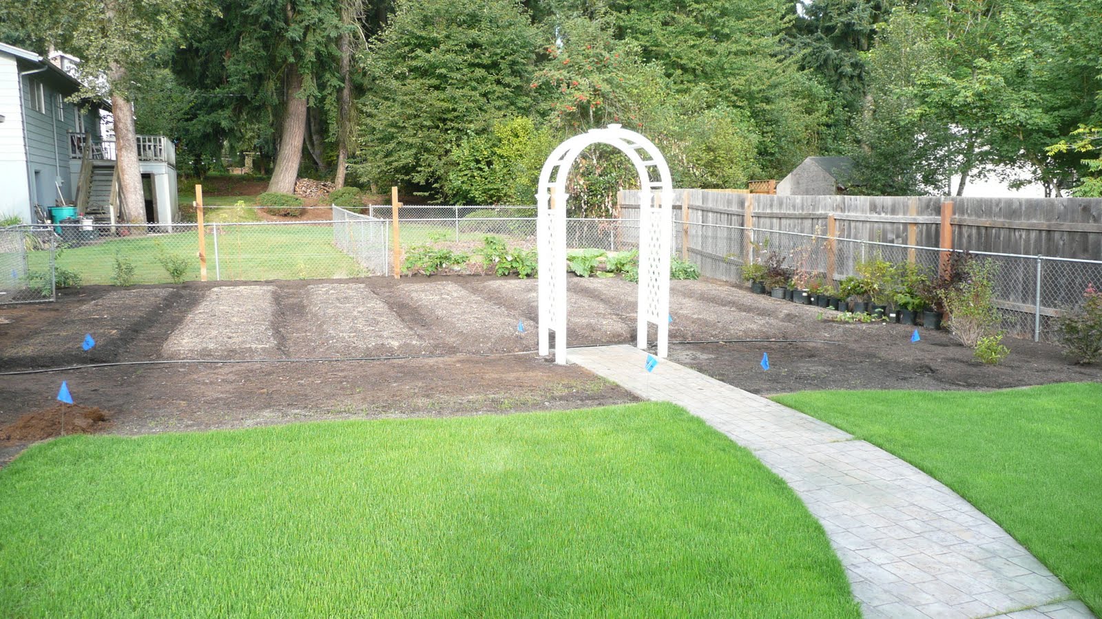 MY CURRENT OBSESSIONS Backyard Redo Part 2