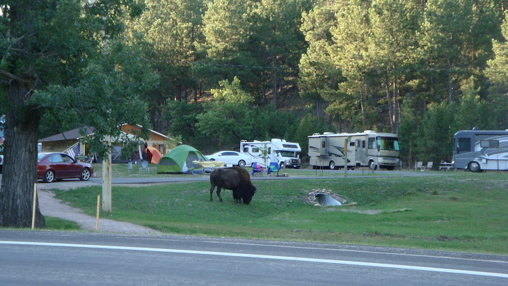 Glad we didn't camp at this campground!
