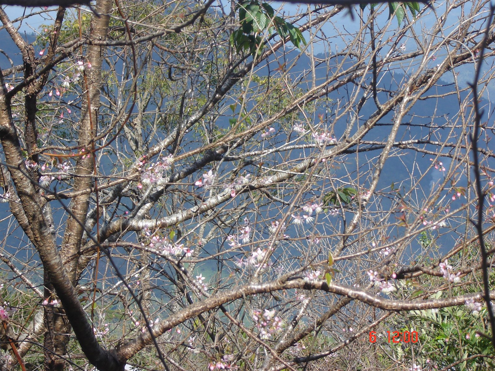 [DSC01998.JPG]
