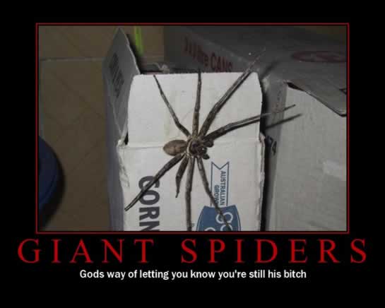 Funny Motivational Pictures: funny motivational pics. Funny Motivational Pictures: