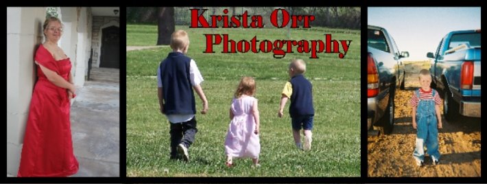 Krista Orr Photography