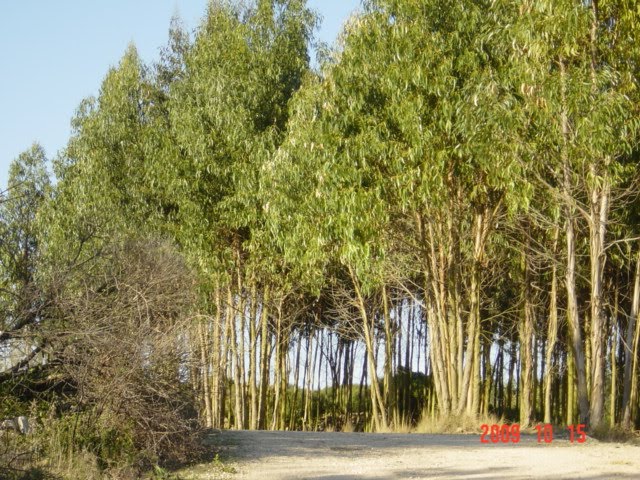 [DSC08296.JPG]