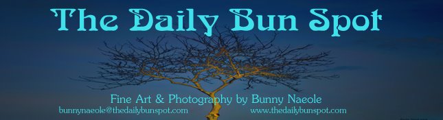The Daily Bun Spot