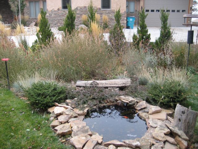 bird pond