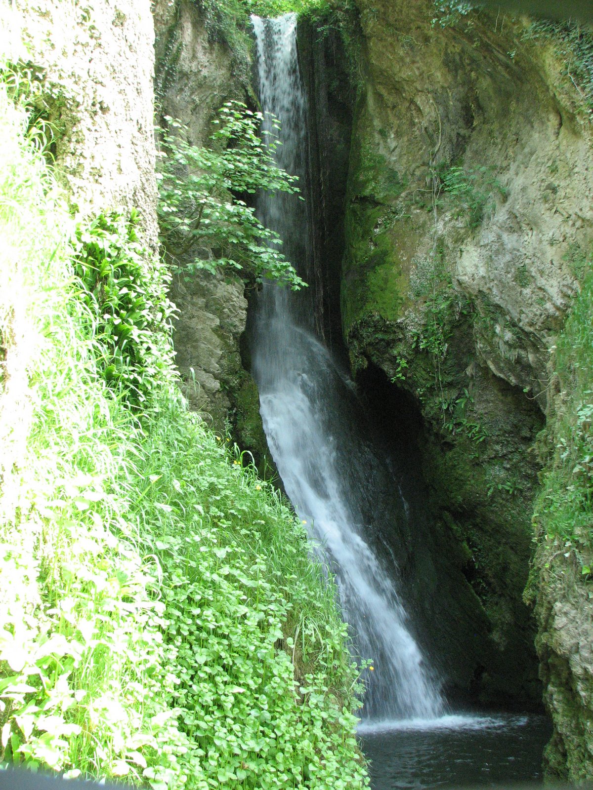 [IMG_0109.JPG]