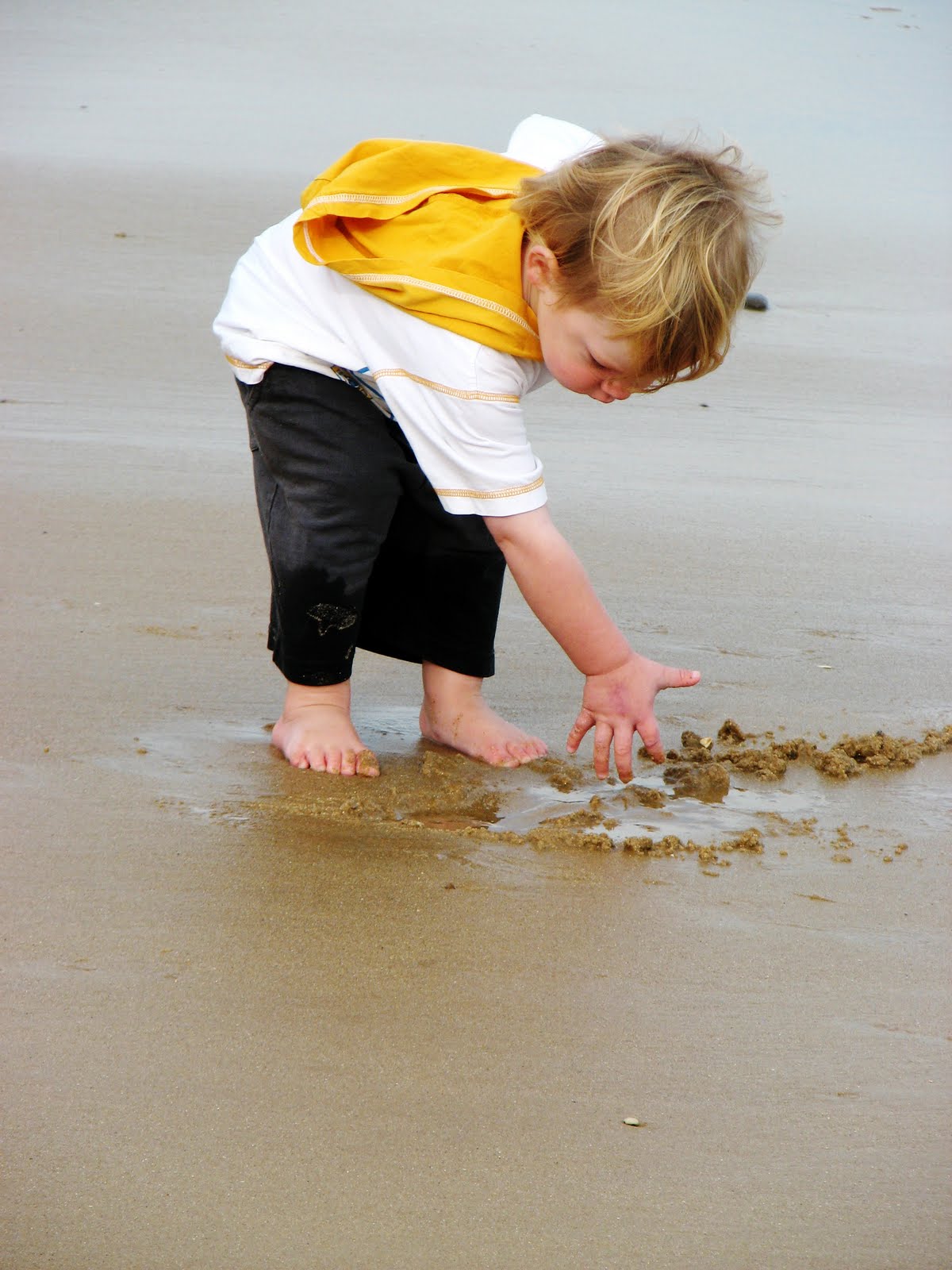 [IMG_0085e.jpg]