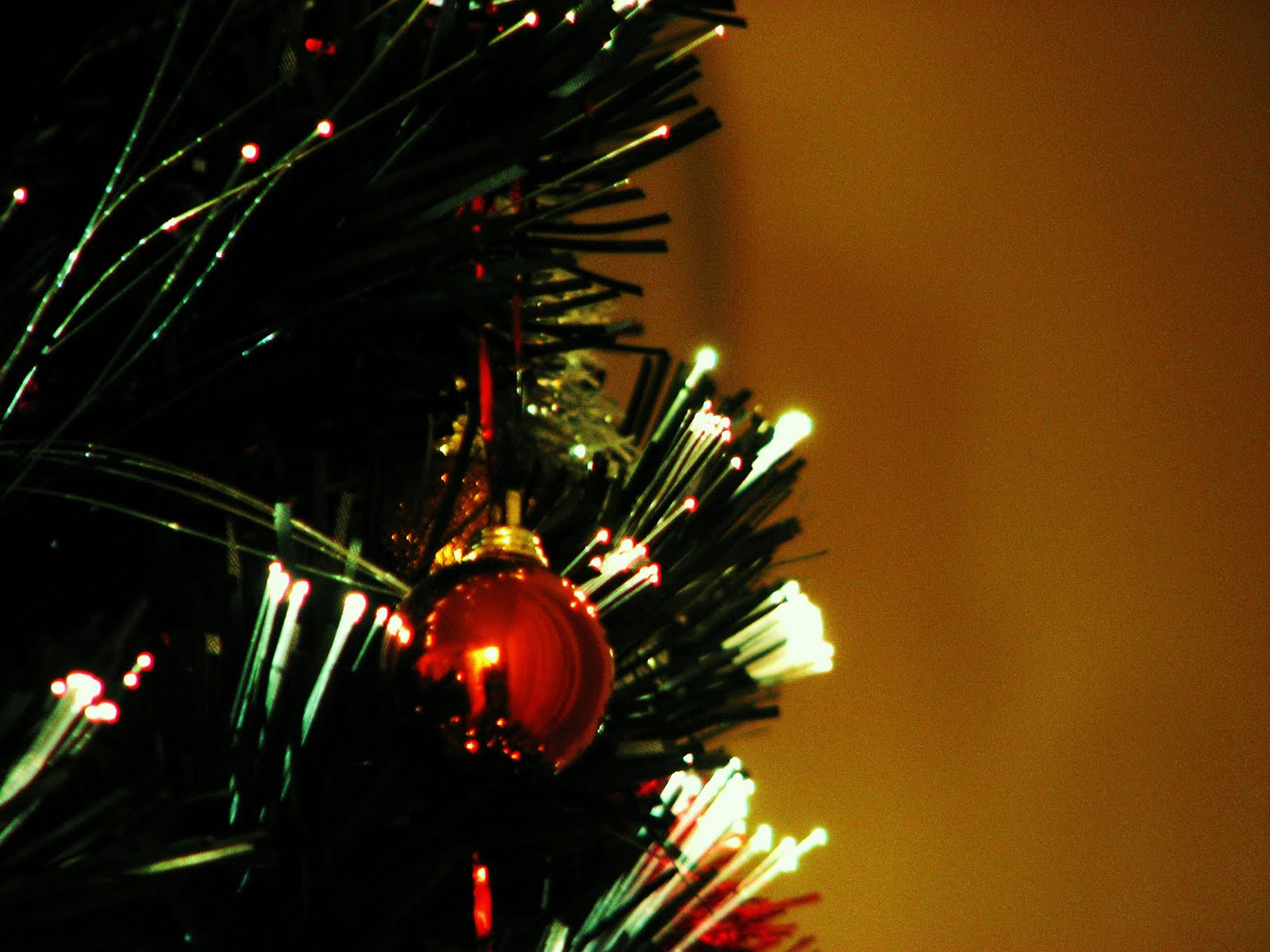 [IMG_0034e.jpg]