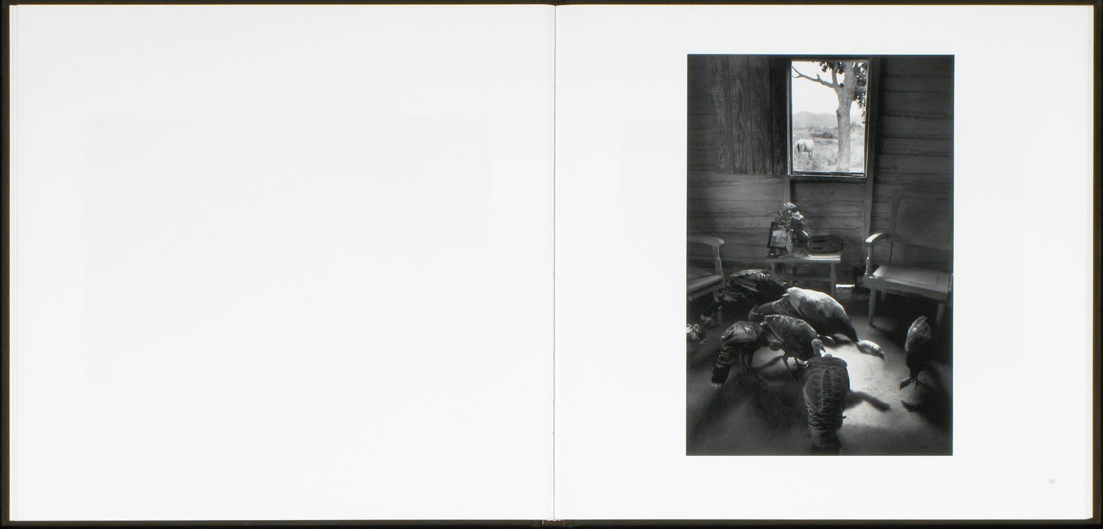 [campoadentrocover.interior1.jpg]