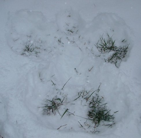 [snowa2.JPG]