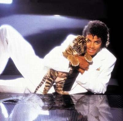 http://3.bp.blogspot.com/_dhY2g5EUnGY/SkYCaJWidII/AAAAAAAAELo/H3a6o0vQjnE/s400/Michael+Jackson+and+baby+orange+tiger.bmp