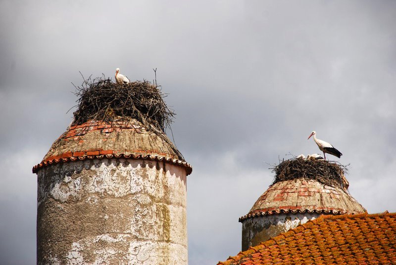 [Resize+of+DSC_3712.JPG]