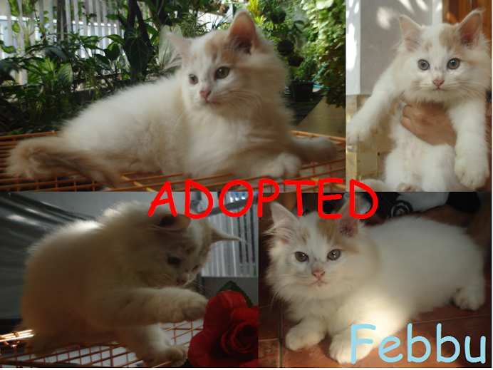 Febbu ADOPTED