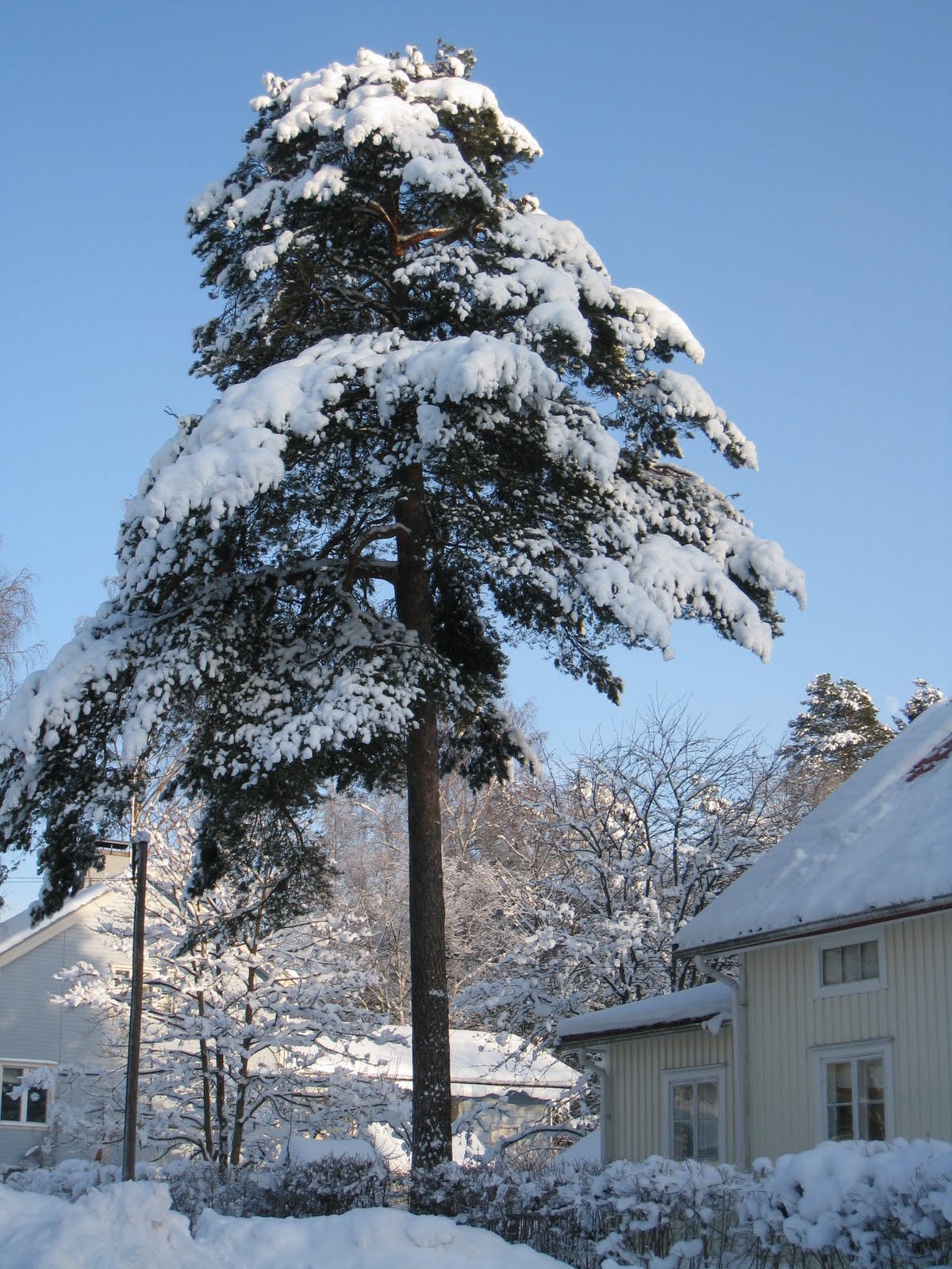[Helsinki+-+Inverno+com+Sol+(96).JPG]