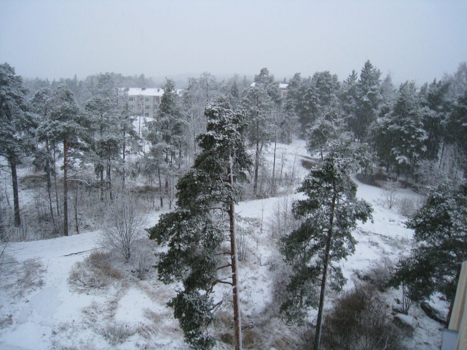 [Helsinki+-+Neve+(37)+-+Copy.JPG]