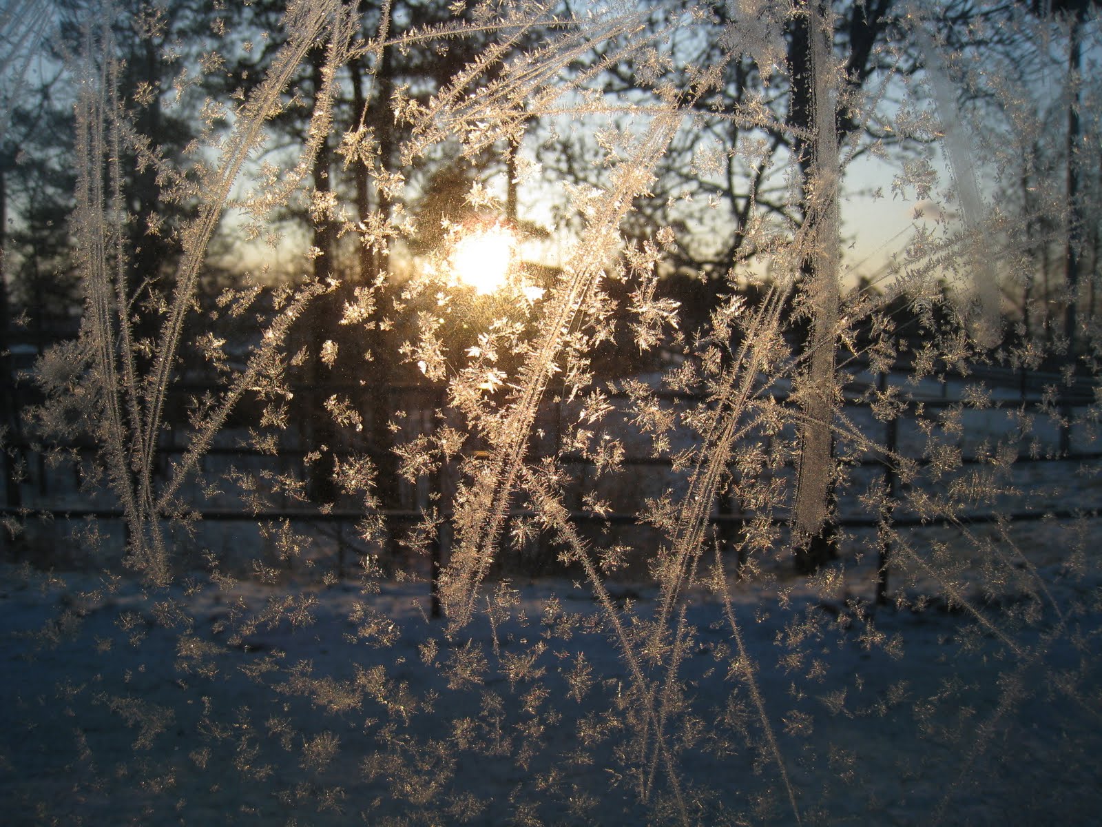 [Helsinki+-+Neve+(19)+-+Copy.JPG]