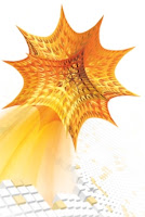 Mathematica logo used entirely without permission