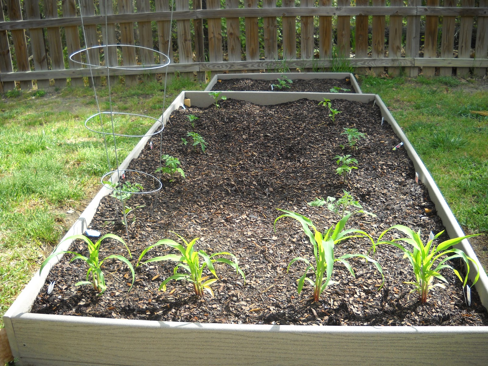 The Childish Adult: How Does Your Garden Grow?