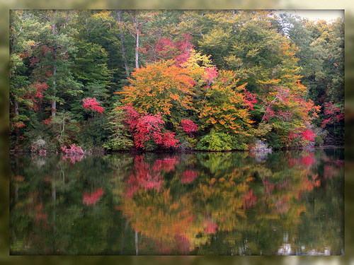 Living In Williamsburg, Virginia: Fall Foliage on the Colonial Parkway