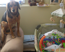 My puppy dog waits for me to wake up. 23Apr09