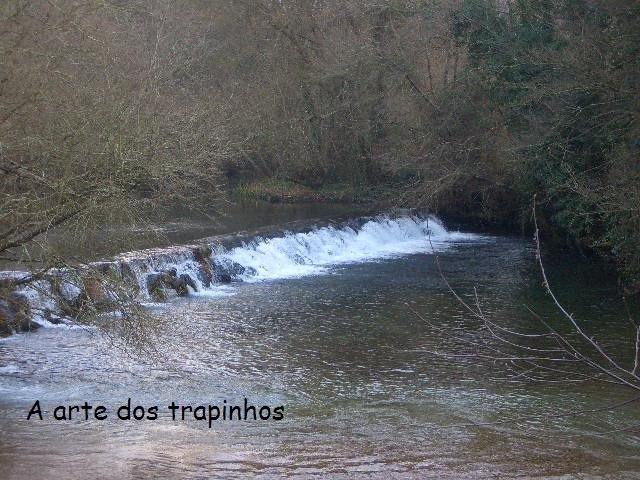 [CIMG4285.JPG]