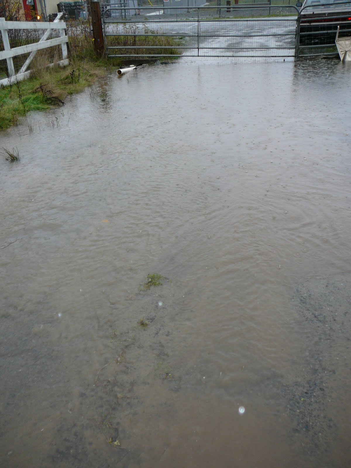 Flooded Driveway