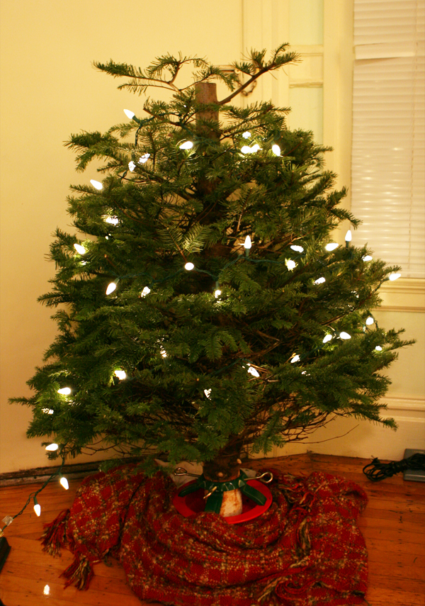 a little bit whimsy Bottom Half Christmas Tree