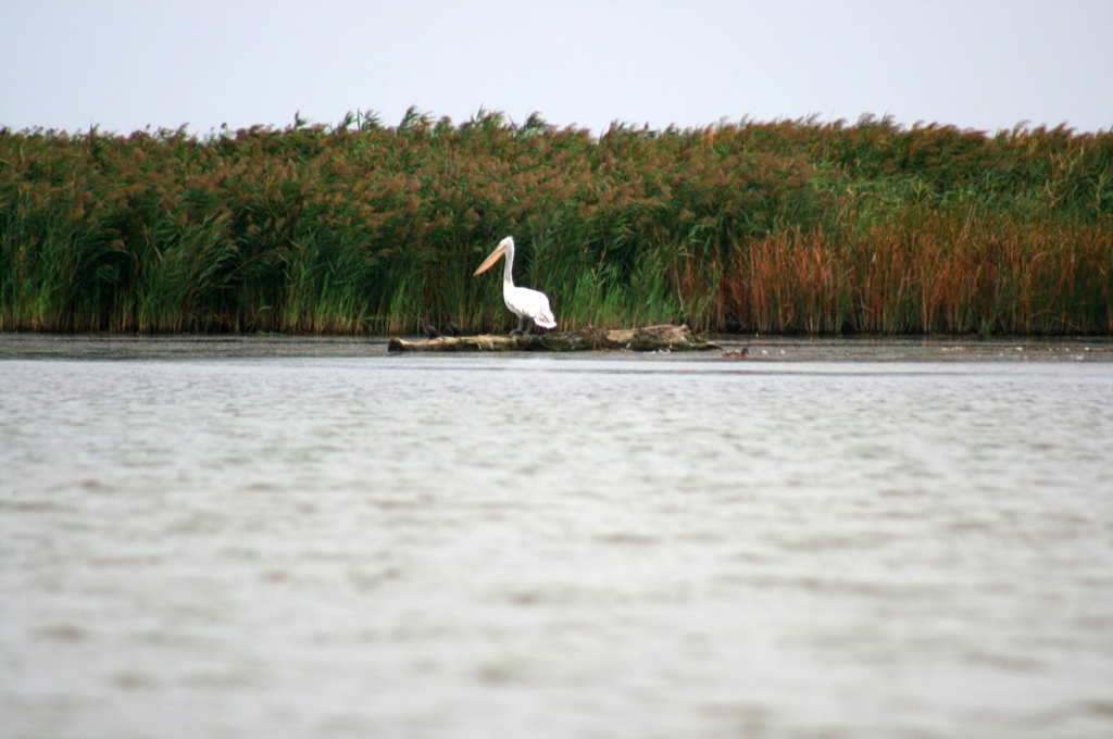 [IMG_3396.jpg]