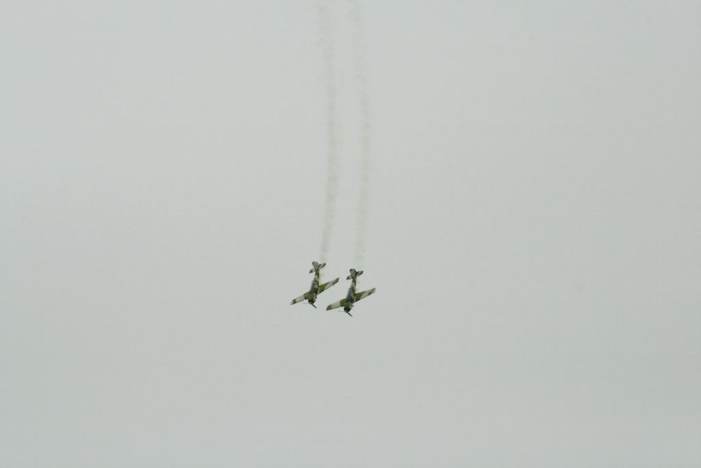 [IMG_3674.jpg]