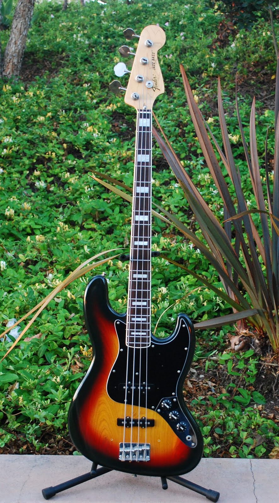 Rex and the Bass: Fender Japan E-series 1975 Re-issue Jazz Bass