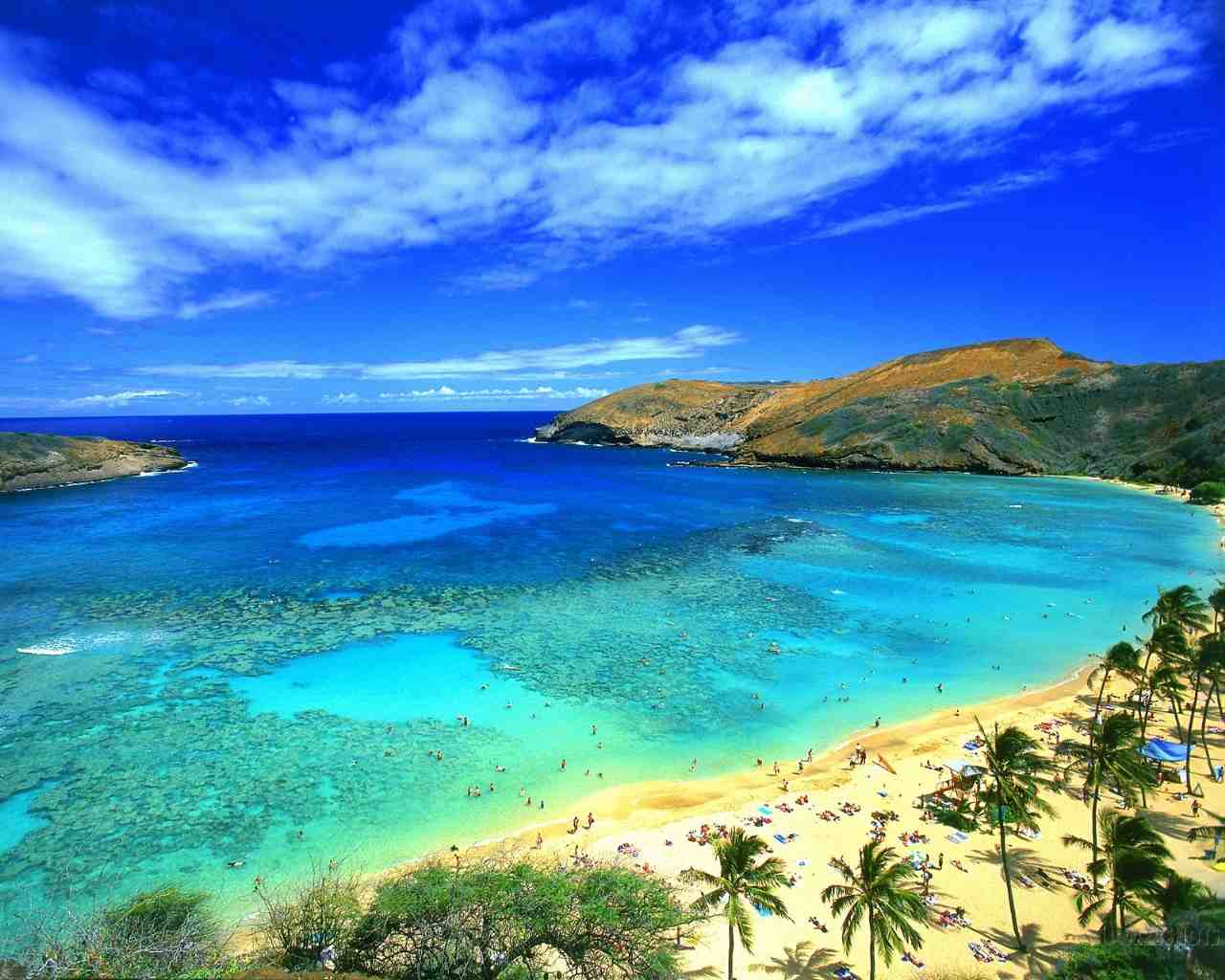 [great-beach-hawaii-picture1.jpg]