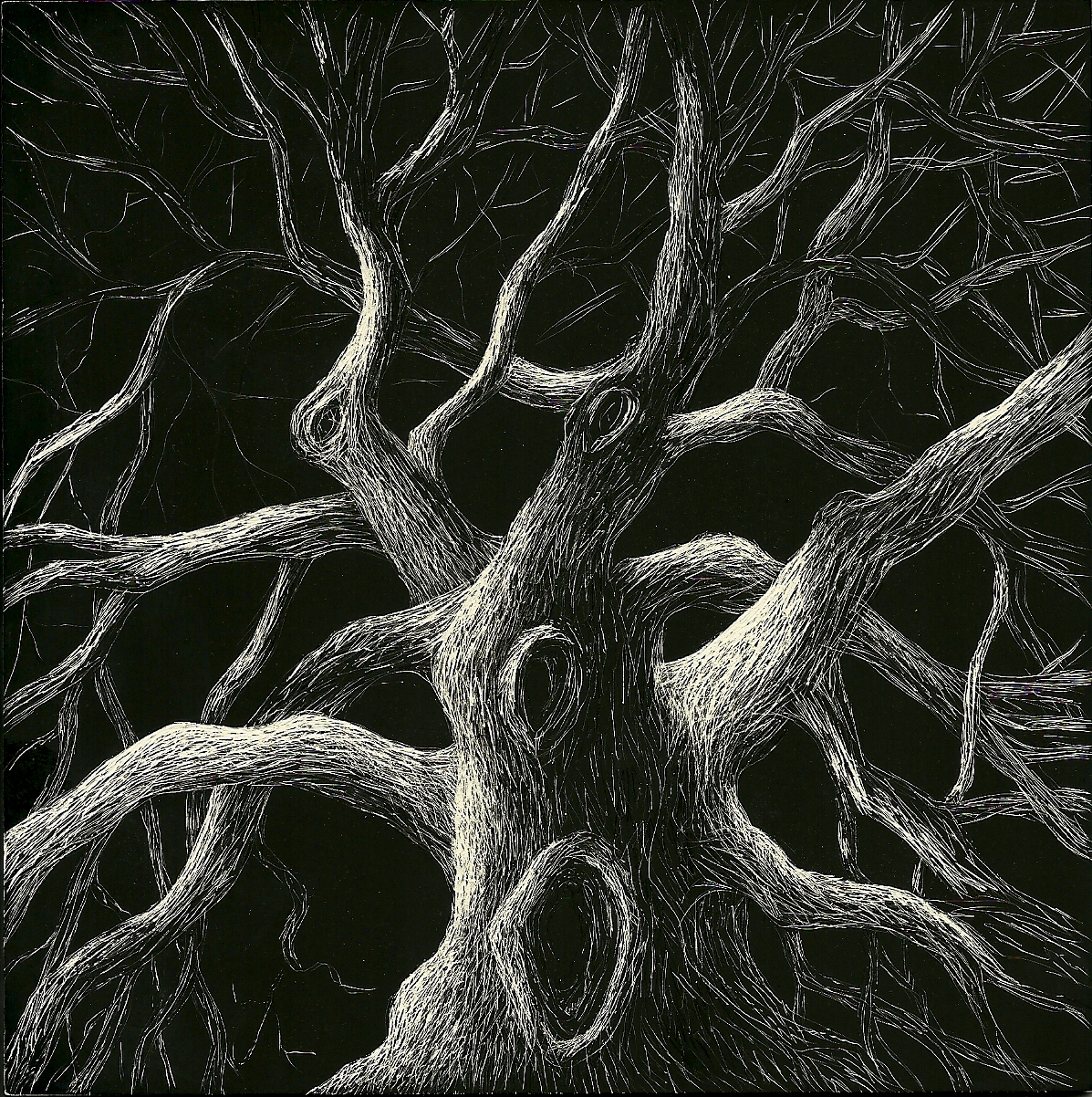 RavenWood Forest 11/1/10 12/1/10