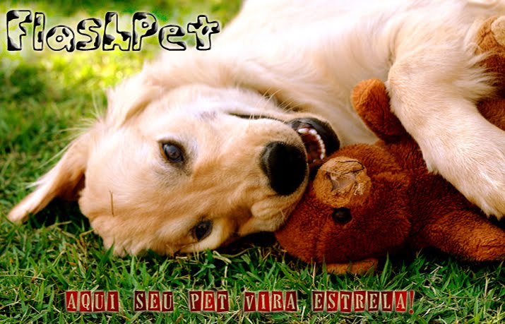 FLASHPET